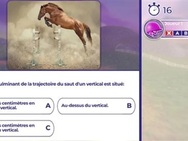 Réussir: Galops 1 à 7