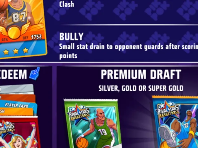 Rival Stars Basketball
