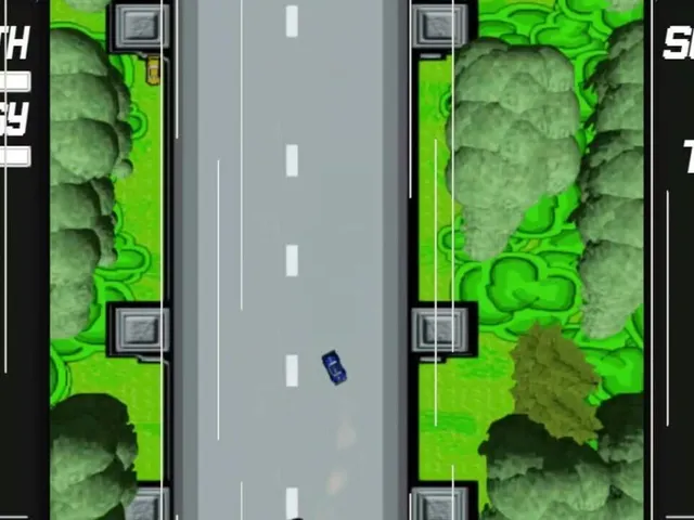 Road Flash
