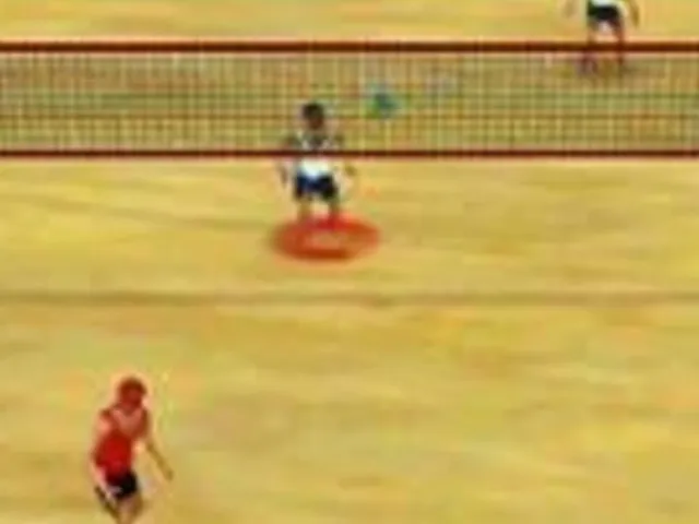 Rule The Beach Volleyball