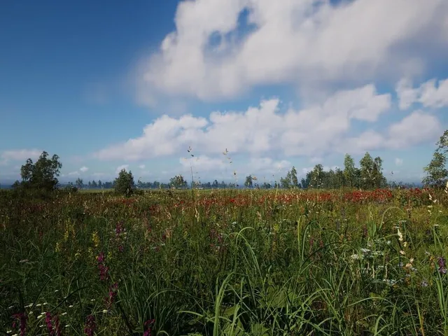 Russian Soul Simulator