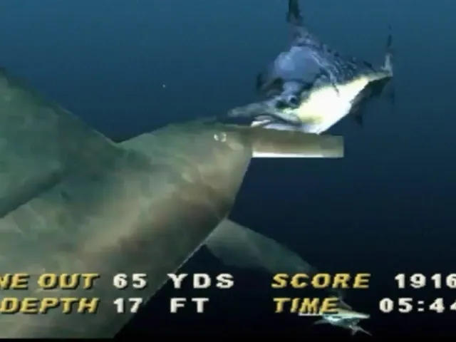 Saltwater Sportfishing