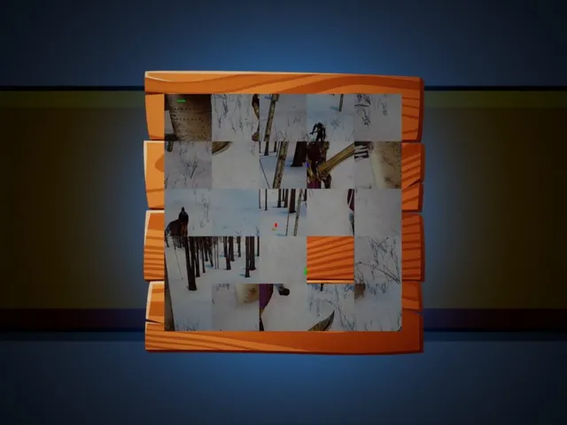 Saylor Assassin Puzzle