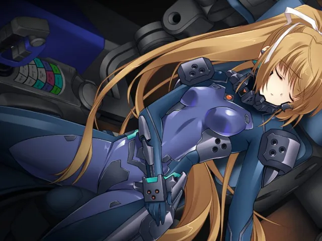 Schwarzesmarken: Kouketsu no Monshou