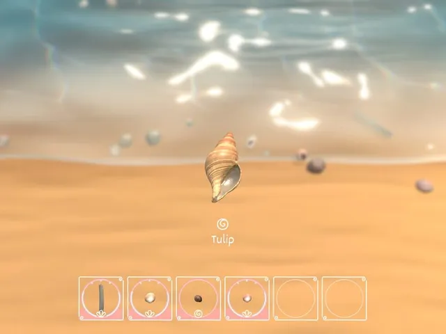 Seashell