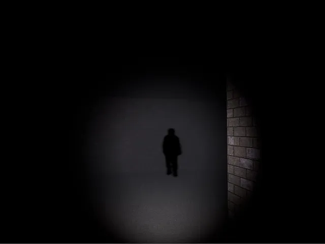 Seeker Of Shadows