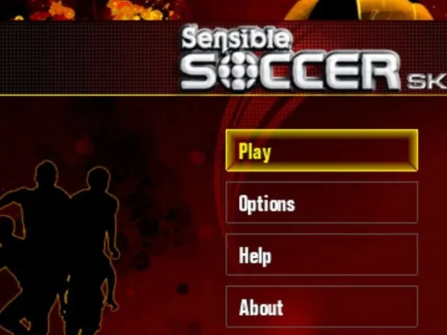 Sensible Soccer Skills
