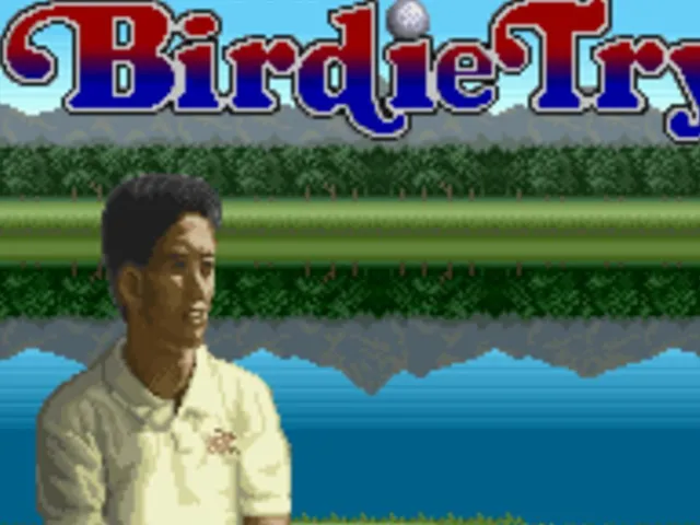 Serizawa Nobuo no Birdie Try