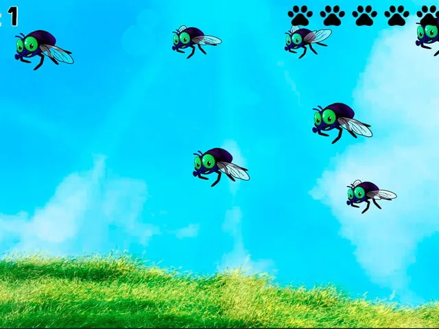 Shade: The Border Collie Flycatcher