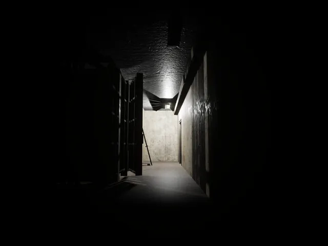 Shadow