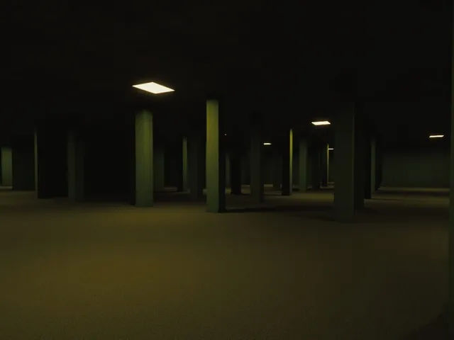 Shadow of Backrooms