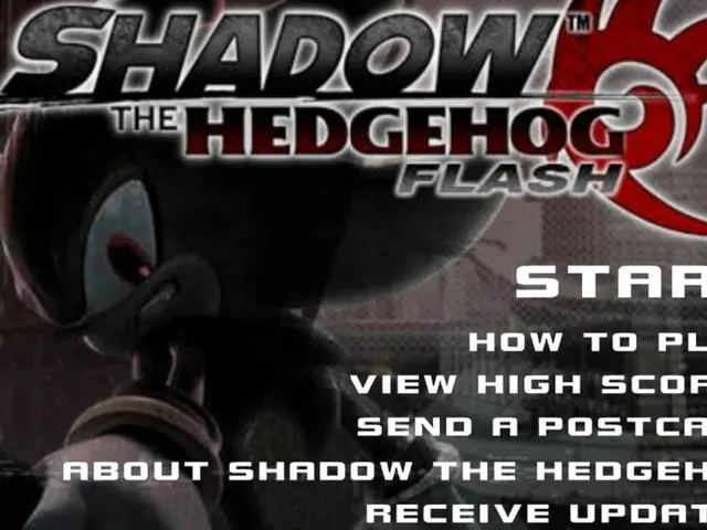 Shadow the Hedgehog Flash