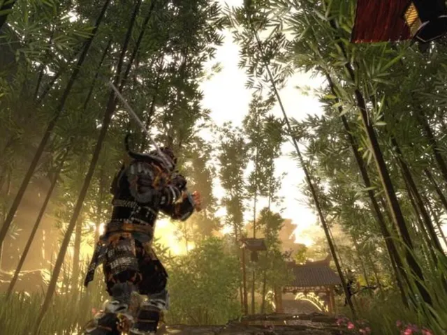 Shadow the Ronin: The Revenge to the Samurai