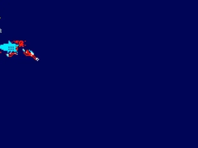 Shark Attack