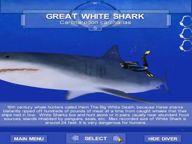 Shark! Hunting the Great White