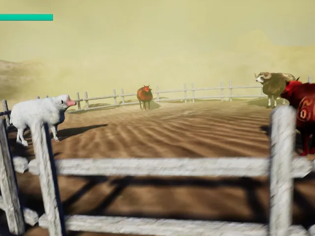 Sheep Collision