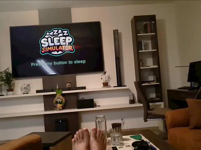 Sleep Simulator