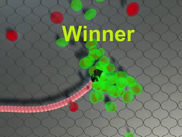 Snekteks
