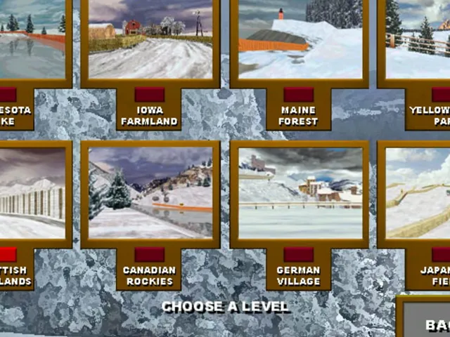 Snowmobile Championship 2000