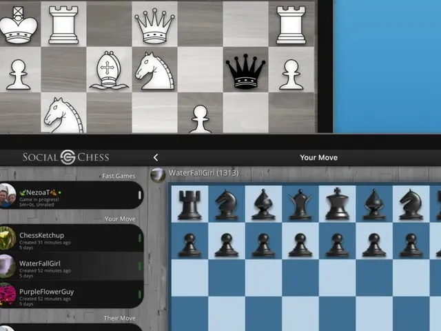 SocialChess