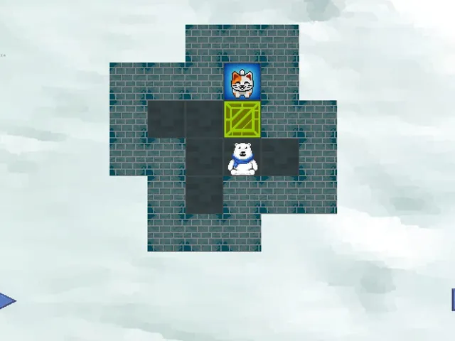 Sokoboxes Duo