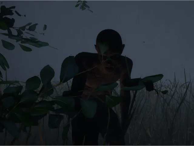 Soldier in the darkness