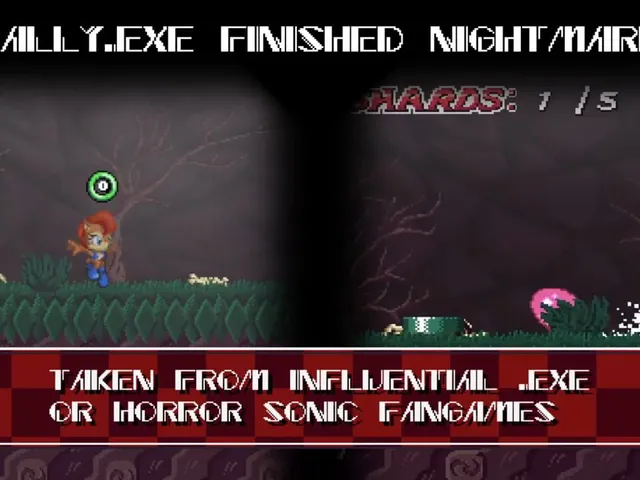 Sonic.exe The Disaster 2D Remake