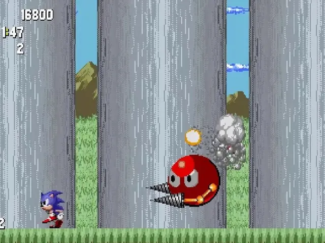 Sonic Warrior
