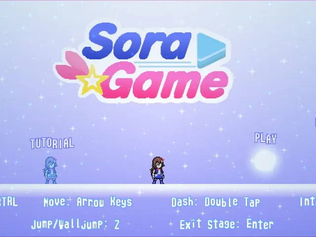 Sora Game