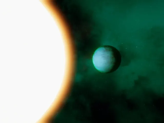 Space Tourist