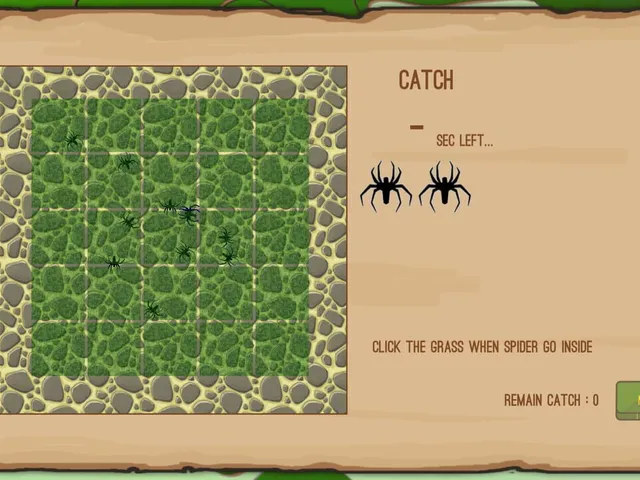 Spider Derby