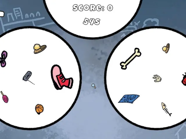 Spot the Spy Guy