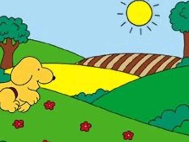 Spot's Busy Day