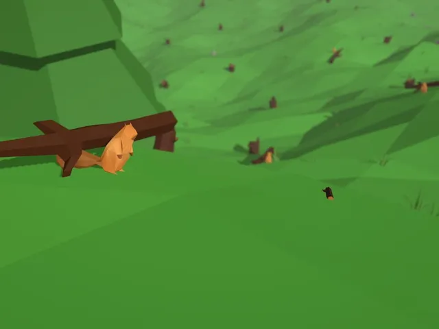 Squirrel Forest