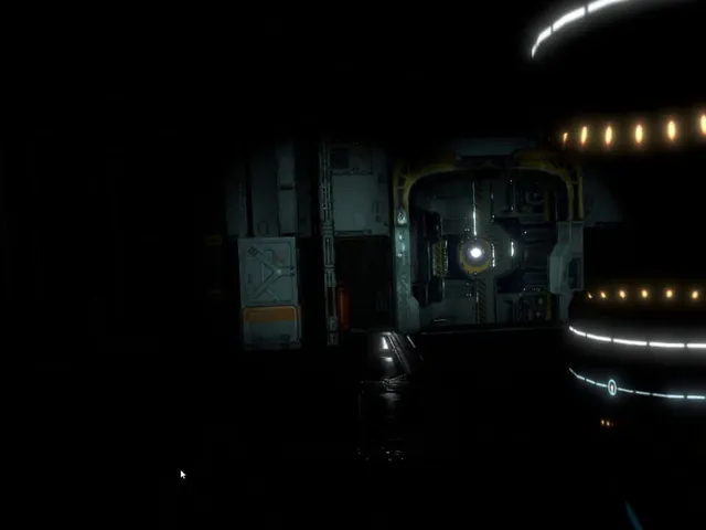 Starship Survivor