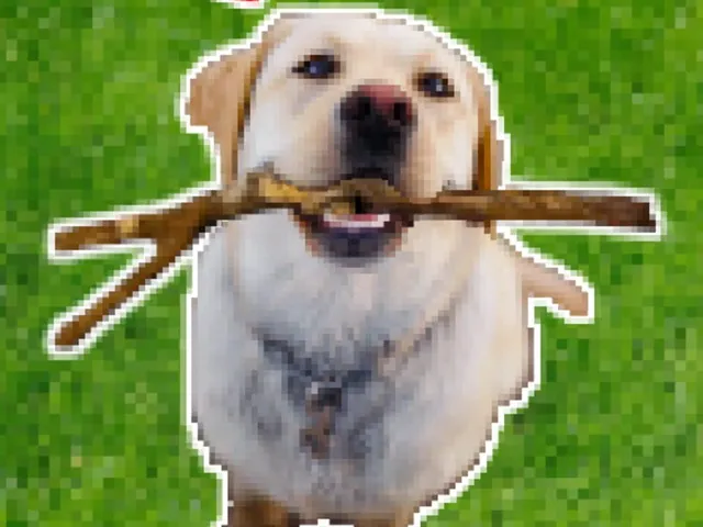 Stick or Stone?