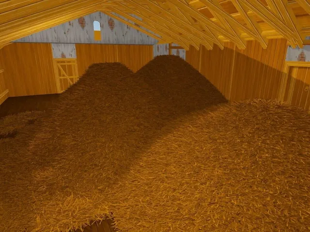 Story of the Needle in a Haystack