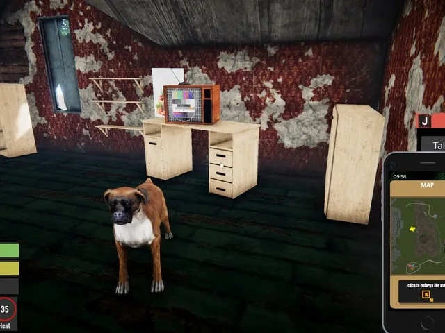 Streamer Life Simulator
