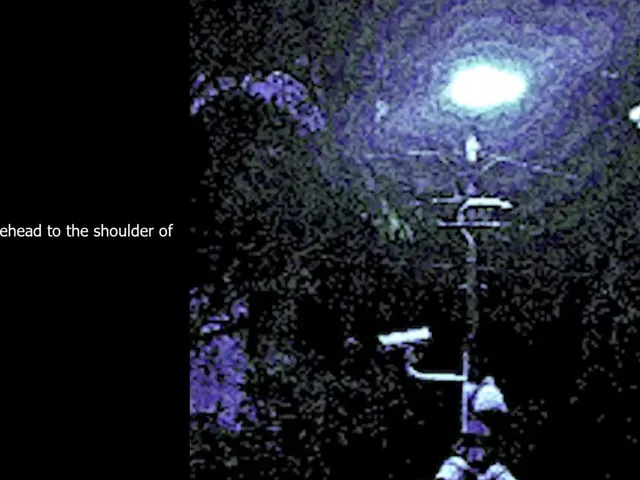Street Lamp Lover