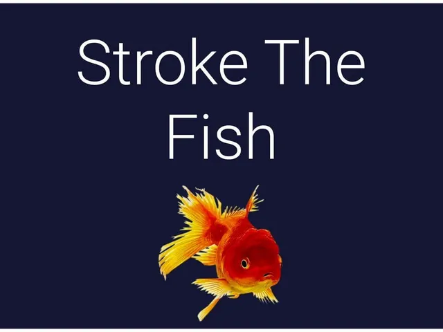 Stroke the Fish