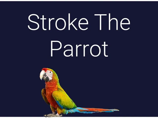 Stroke the Parrot