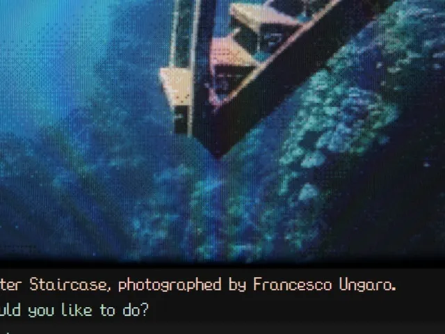 Submerged Gallery