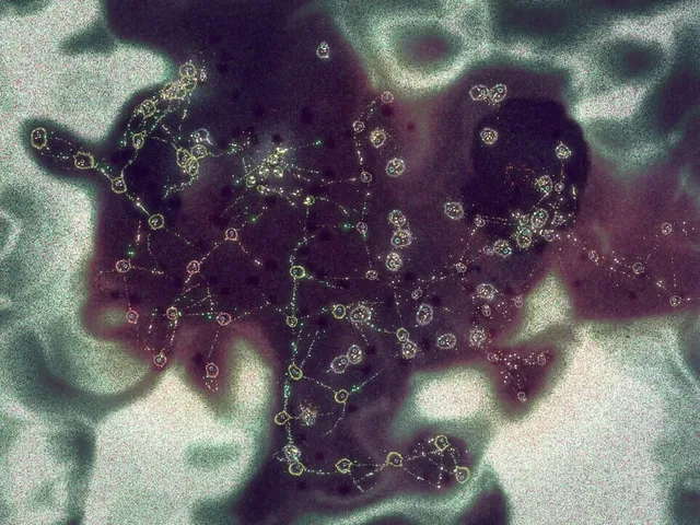 Substrate: Emergence