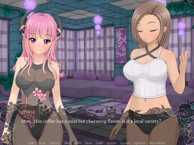 Succubus Research Diary