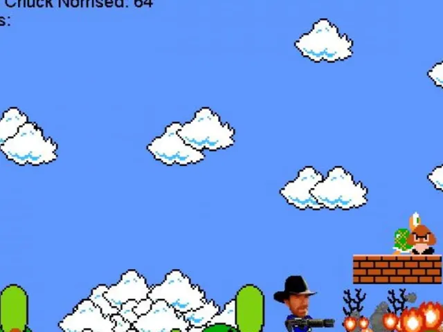 Super Chuck Norris Bros