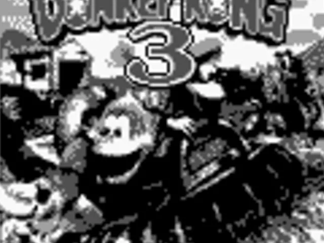 Super Donkey Kong 3