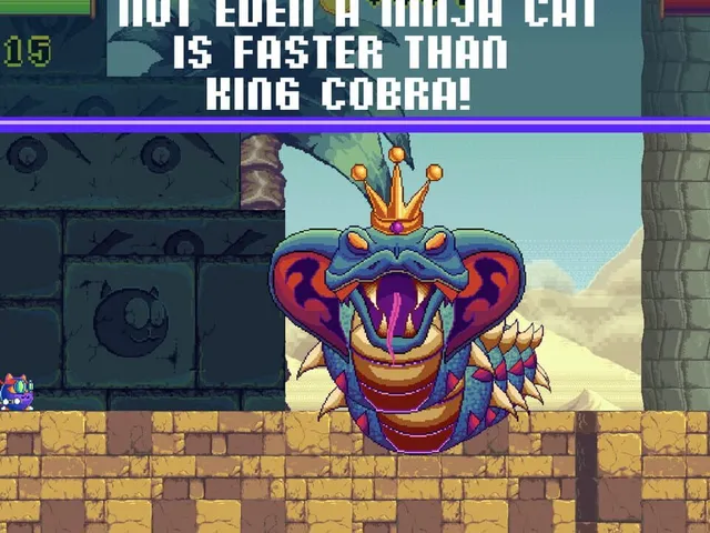 Super Ninja Meow Cat