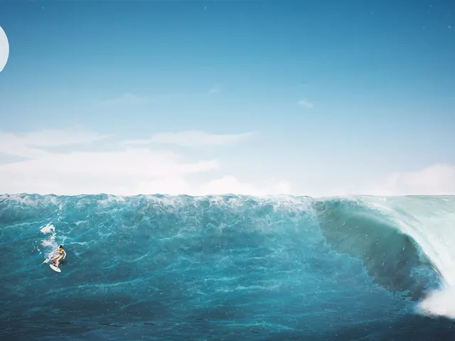 Surf World Series
