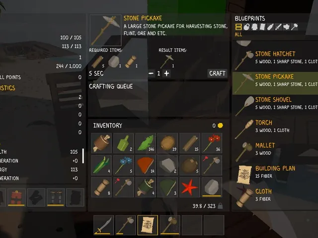 Survival on a Deserted Island