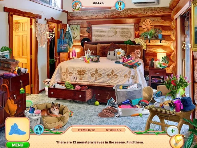 Sweet Home: Look and Find 5 - Collector's Edition